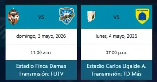 Programación oficial de los partidos por el Ascenso a Primera División, fechas, estadios y canales de TV