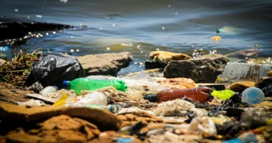 Río Virilla se convierte en una bomba de tiempo por bacterias superresistentes y contaminación masiva.