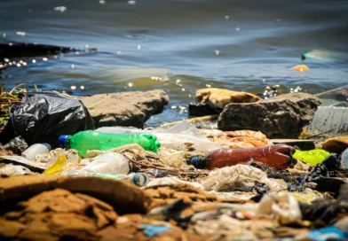 Río Virilla se convierte en una bomba de tiempo por bacterias superresistentes y contaminación masiva.