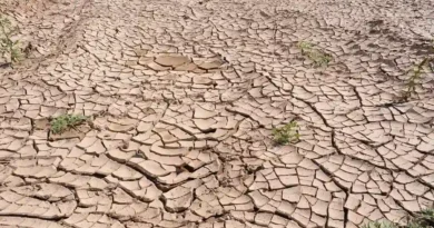 Suelo agrietado por la sequía que ilustra la Alerta Verde en Costa Rica ante la consolidación del fenómeno de El Niño