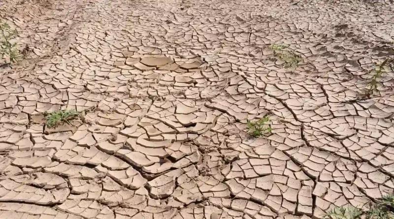 Suelo agrietado por la sequía que ilustra la Alerta Verde en Costa Rica ante la consolidación del fenómeno de El Niño