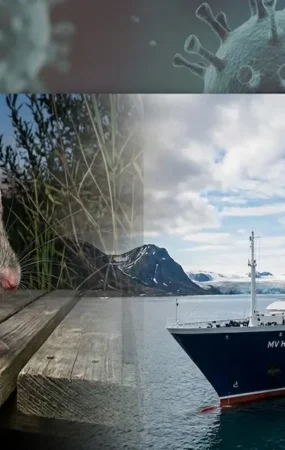 Composición informativa sobre el brote de hantavirus en el crucero MV Hondius, mostrando un roedor silvestre junto al buque MV Hondius en altamar con representaciones del virus de fondo