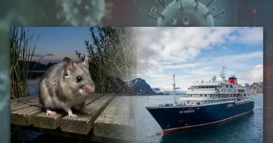 Composición informativa sobre el brote de hantavirus en el crucero MV Hondius, mostrando un roedor silvestre junto al buque MV Hondius en altamar con representaciones del virus de fondo
