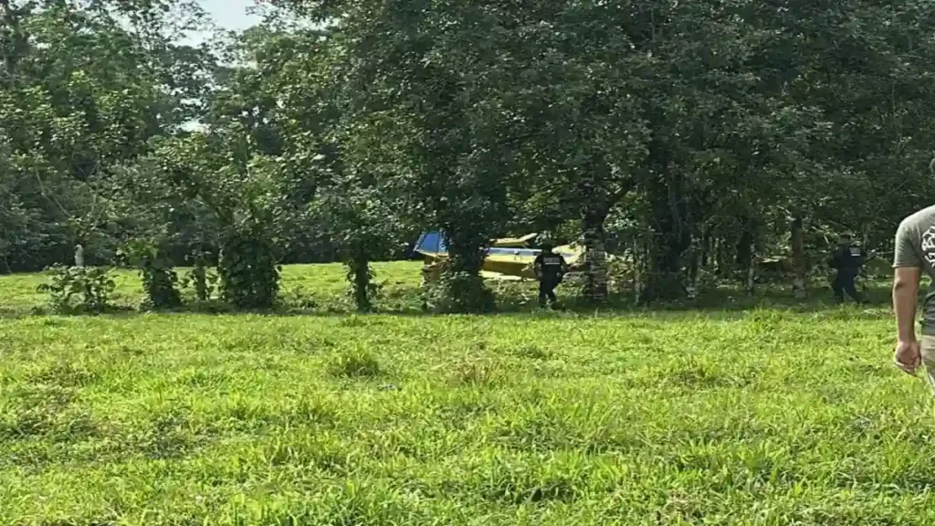 Oficiales de la Fuerza Pública custodian el perímetro en la finca agrícola donde ocurrió la tragedia en Sarapiquí tras el desplome de la aeronave.