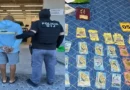 Imagen compuesta que muestra a un agente de la policía del OIJ escoltando a un detenido esposado y, a la derecha, fajos de billetes en colones decomisados a la red narco.