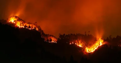 Montañas devoradas por las llamas durante la noche, representando la gravedad del incendio forestal en Palo Verde en Guanacaste